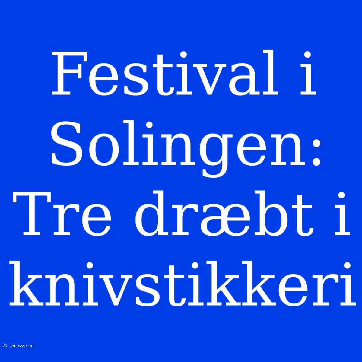 Festival I Solingen: Tre Dræbt I Knivstikkeri