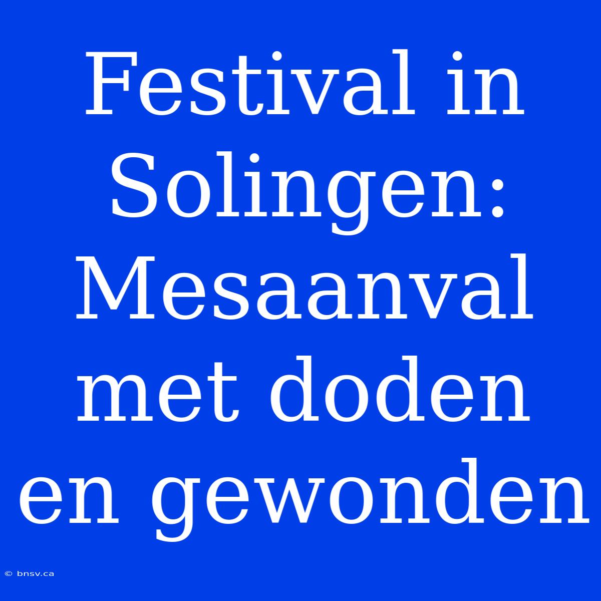 Festival In Solingen: Mesaanval Met Doden En Gewonden