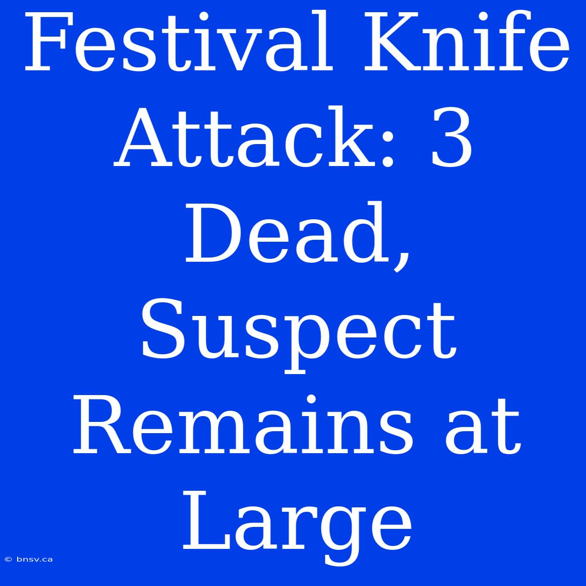 Festival Knife Attack: 3 Dead, Suspect Remains At Large