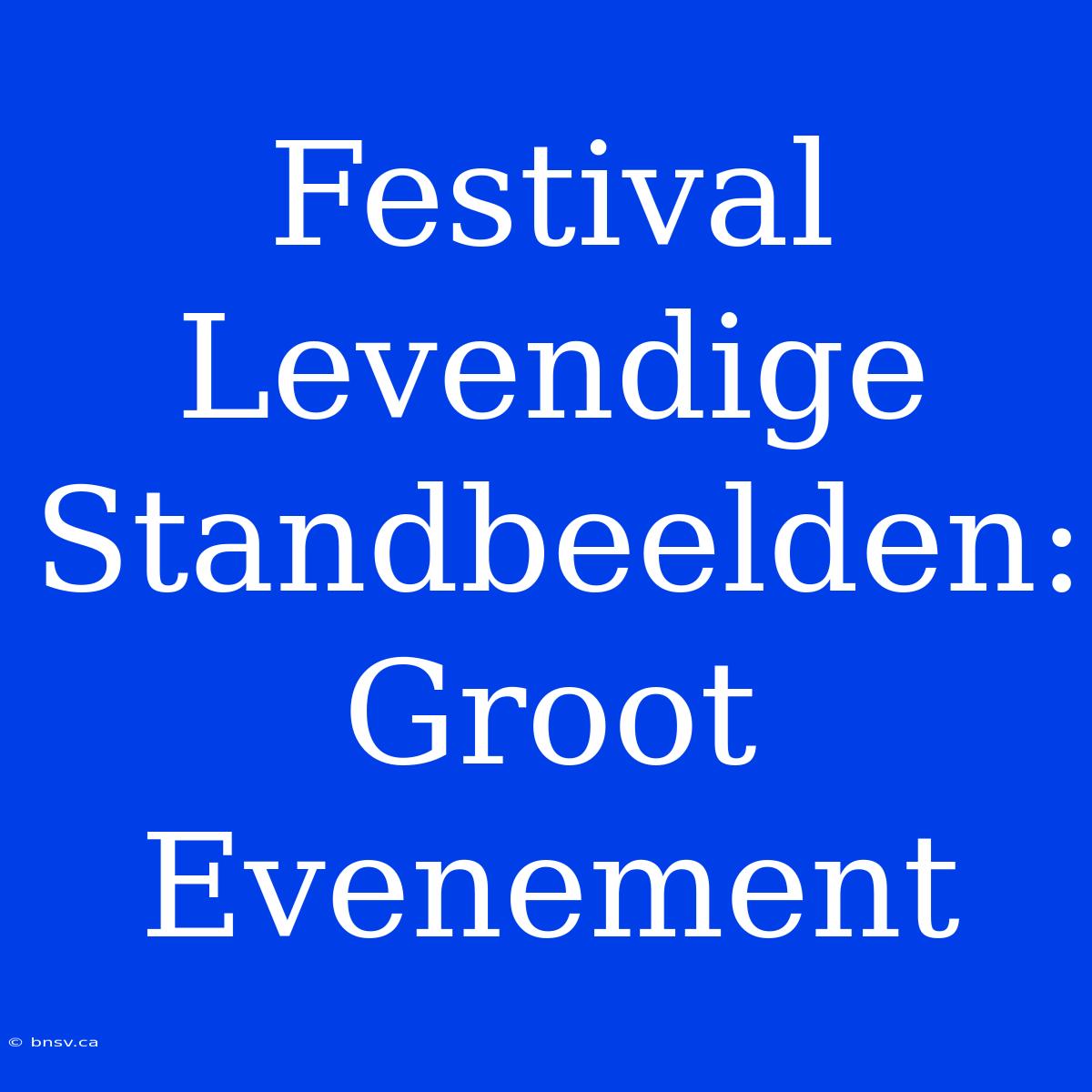 Festival Levendige Standbeelden: Groot Evenement