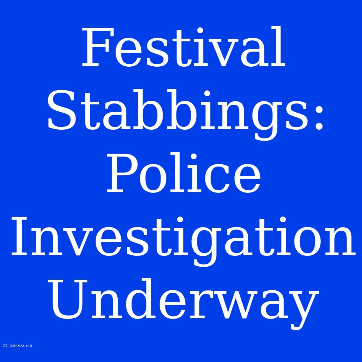 Festival Stabbings: Police Investigation Underway