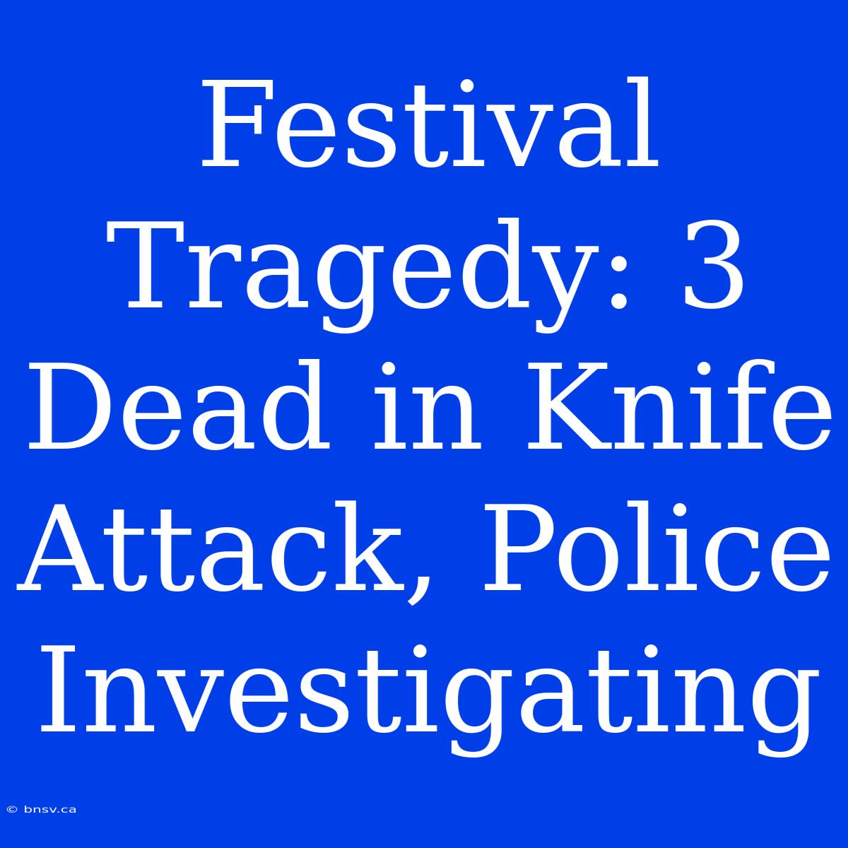 Festival Tragedy: 3 Dead In Knife Attack, Police Investigating