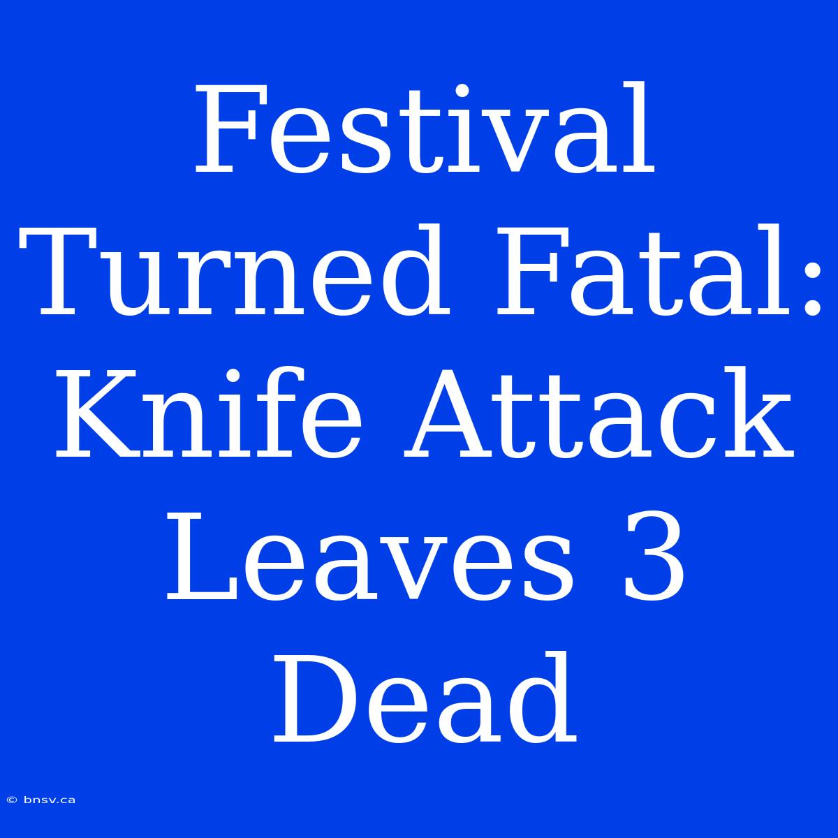 Festival Turned Fatal: Knife Attack Leaves 3 Dead