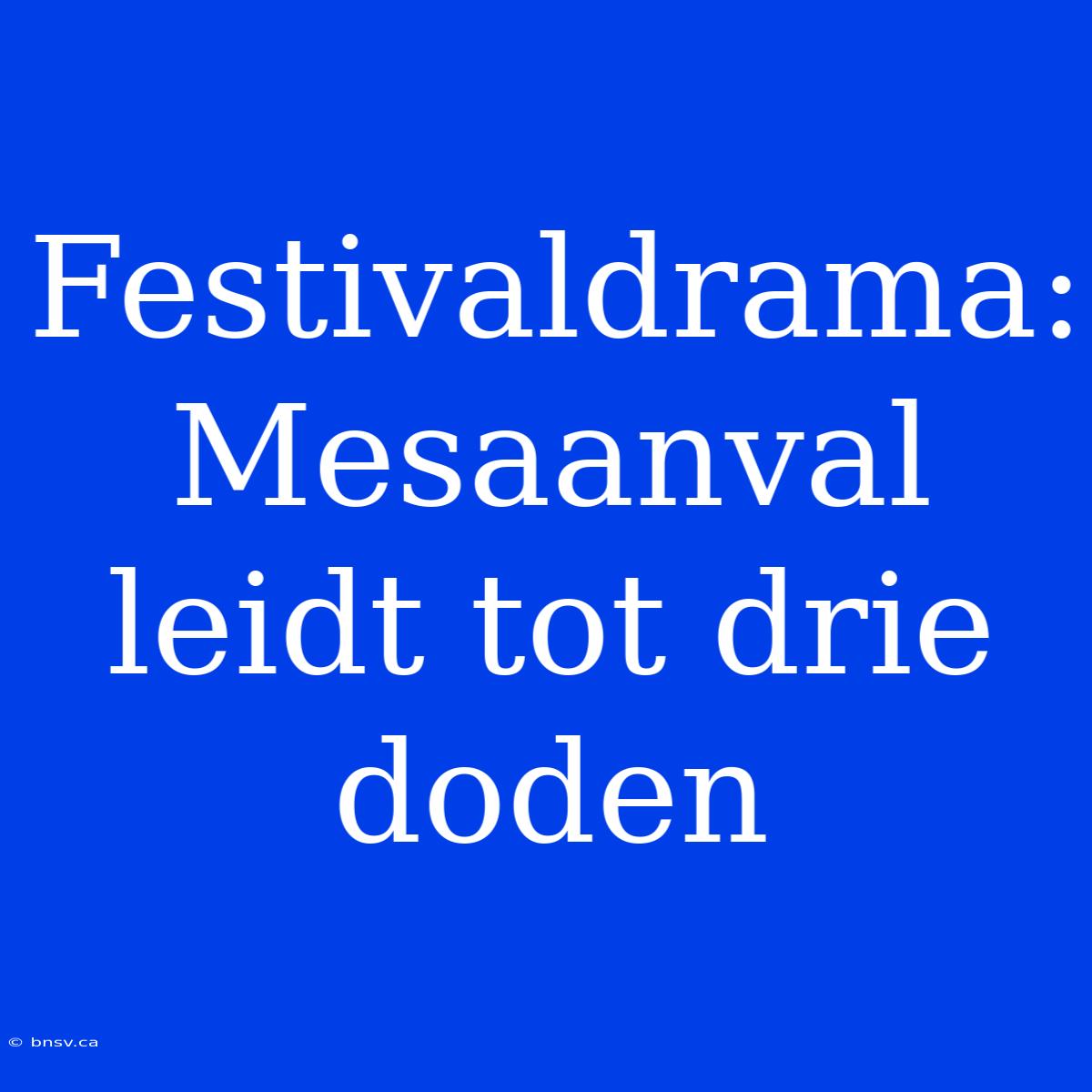 Festivaldrama: Mesaanval Leidt Tot Drie Doden