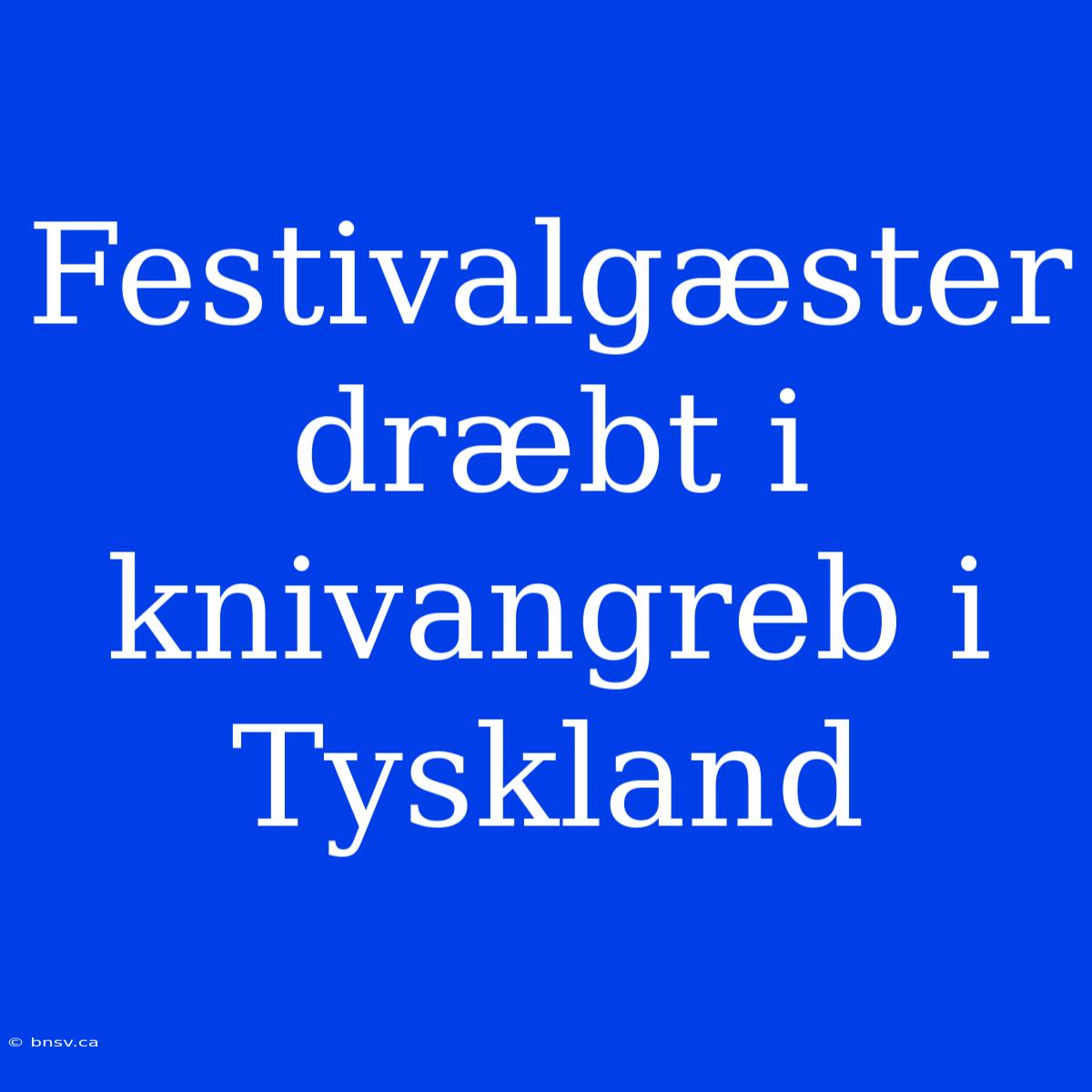 Festivalgæster Dræbt I Knivangreb I Tyskland