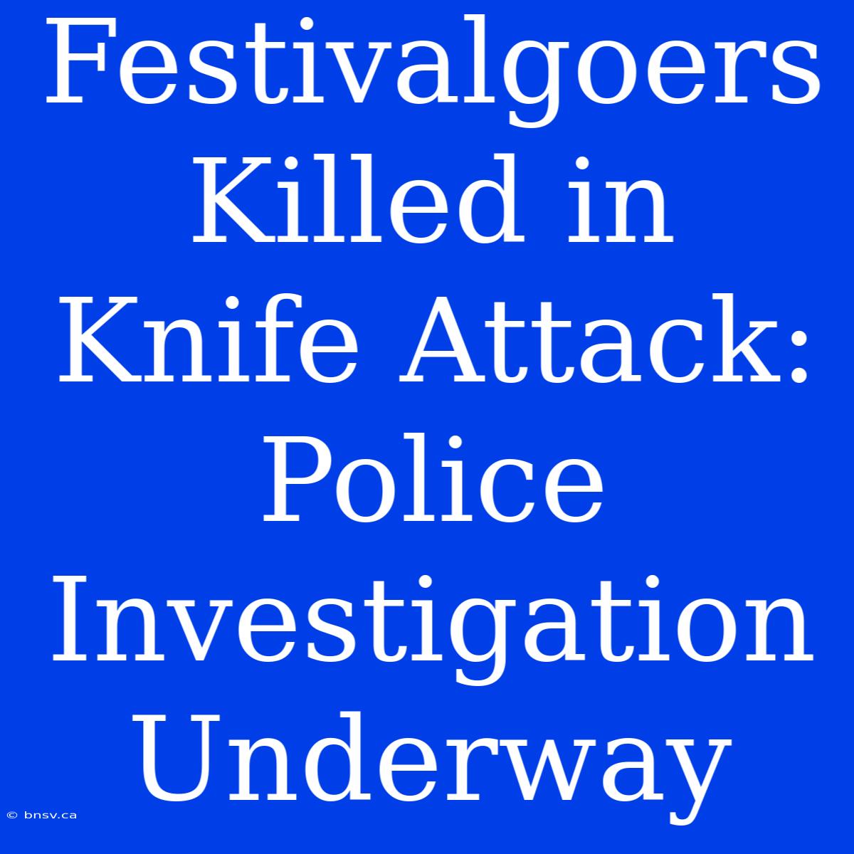 Festivalgoers Killed In Knife Attack: Police Investigation Underway