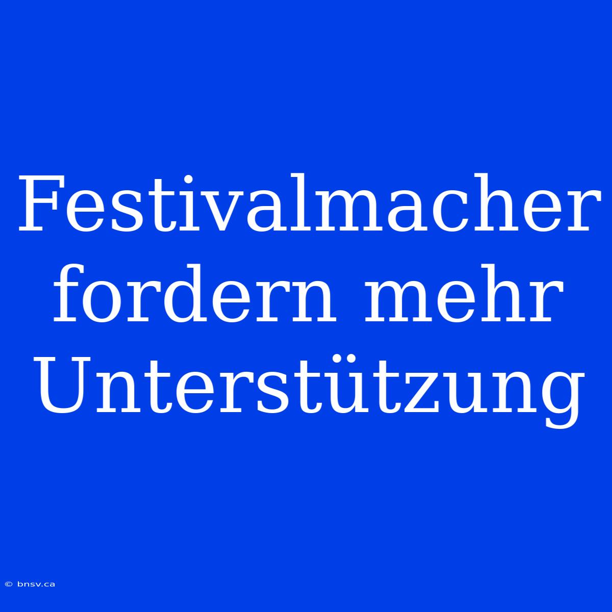 Festivalmacher Fordern Mehr Unterstützung