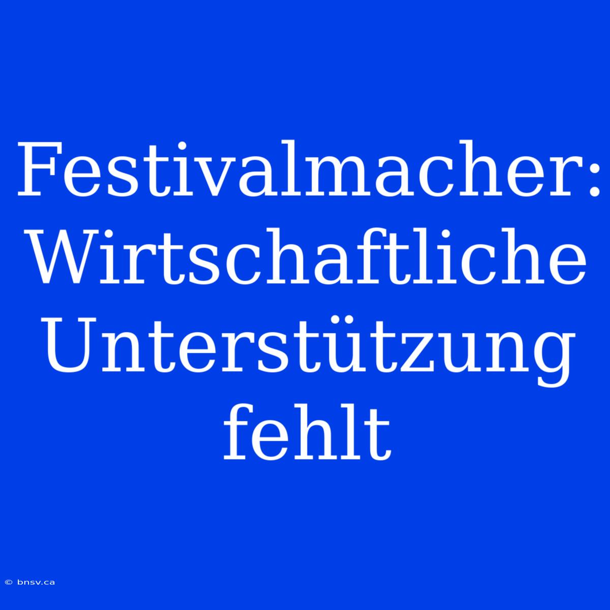 Festivalmacher: Wirtschaftliche Unterstützung Fehlt