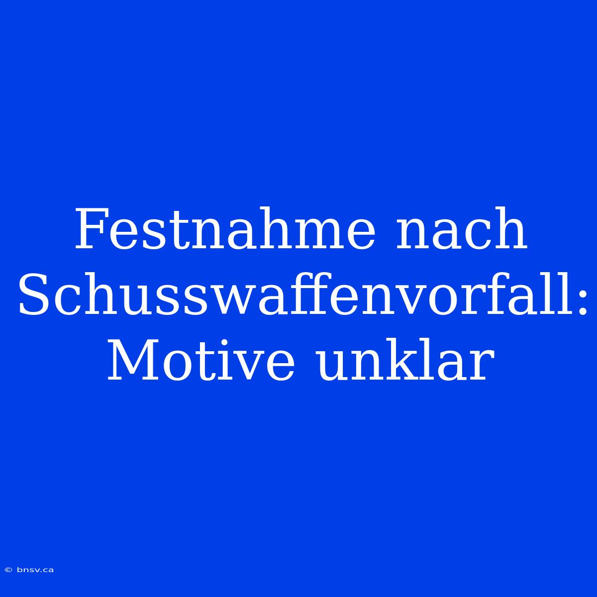 Festnahme Nach Schusswaffenvorfall: Motive Unklar