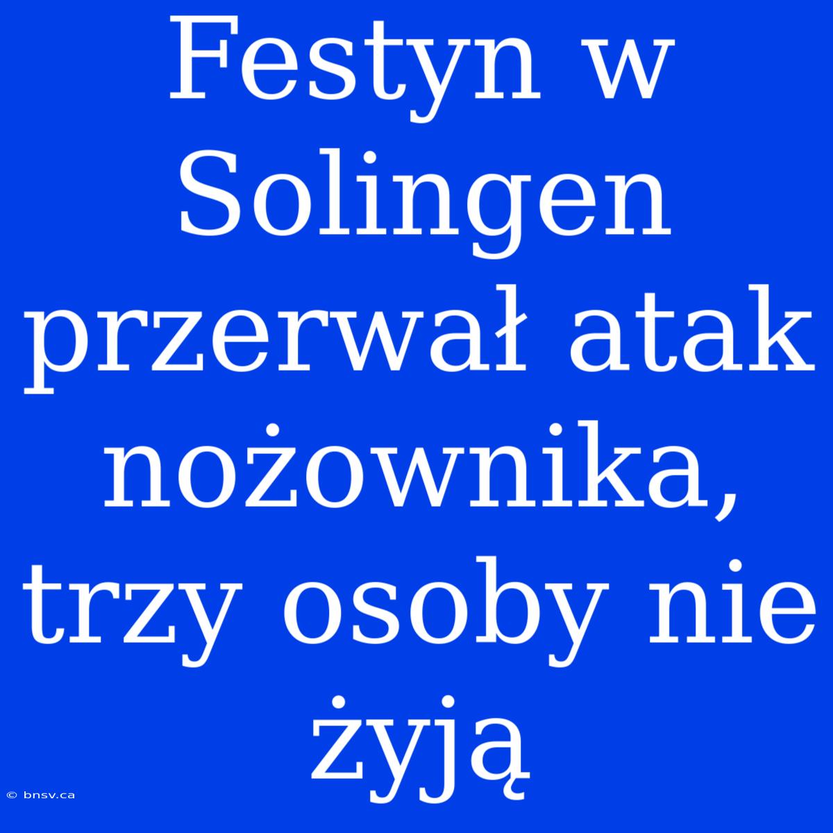 Festyn W Solingen Przerwał Atak Nożownika, Trzy Osoby Nie Żyją