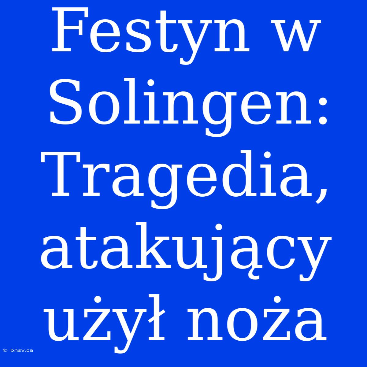 Festyn W Solingen: Tragedia, Atakujący Użył Noża