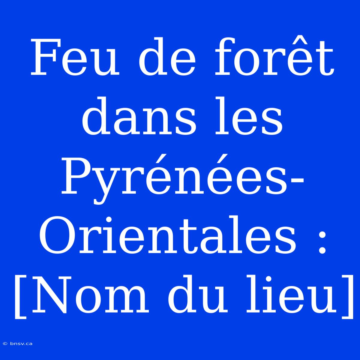 Feu De Forêt Dans Les Pyrénées-Orientales : [Nom Du Lieu]