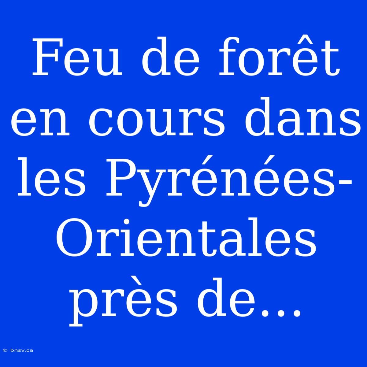 Feu De Forêt En Cours Dans Les Pyrénées-Orientales Près De...