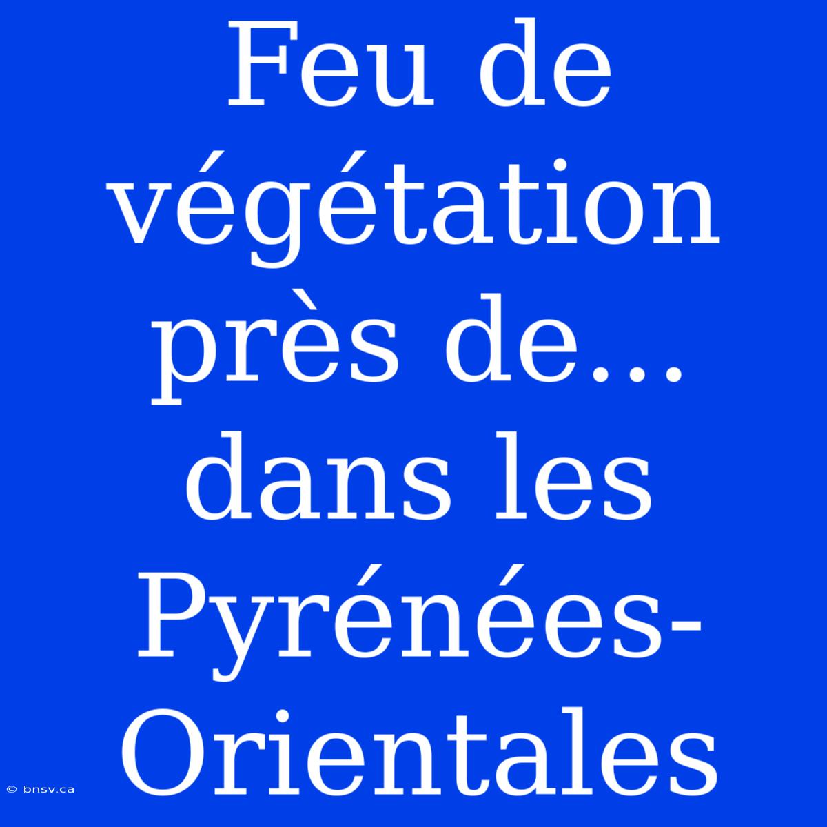 Feu De Végétation Près De... Dans Les Pyrénées-Orientales