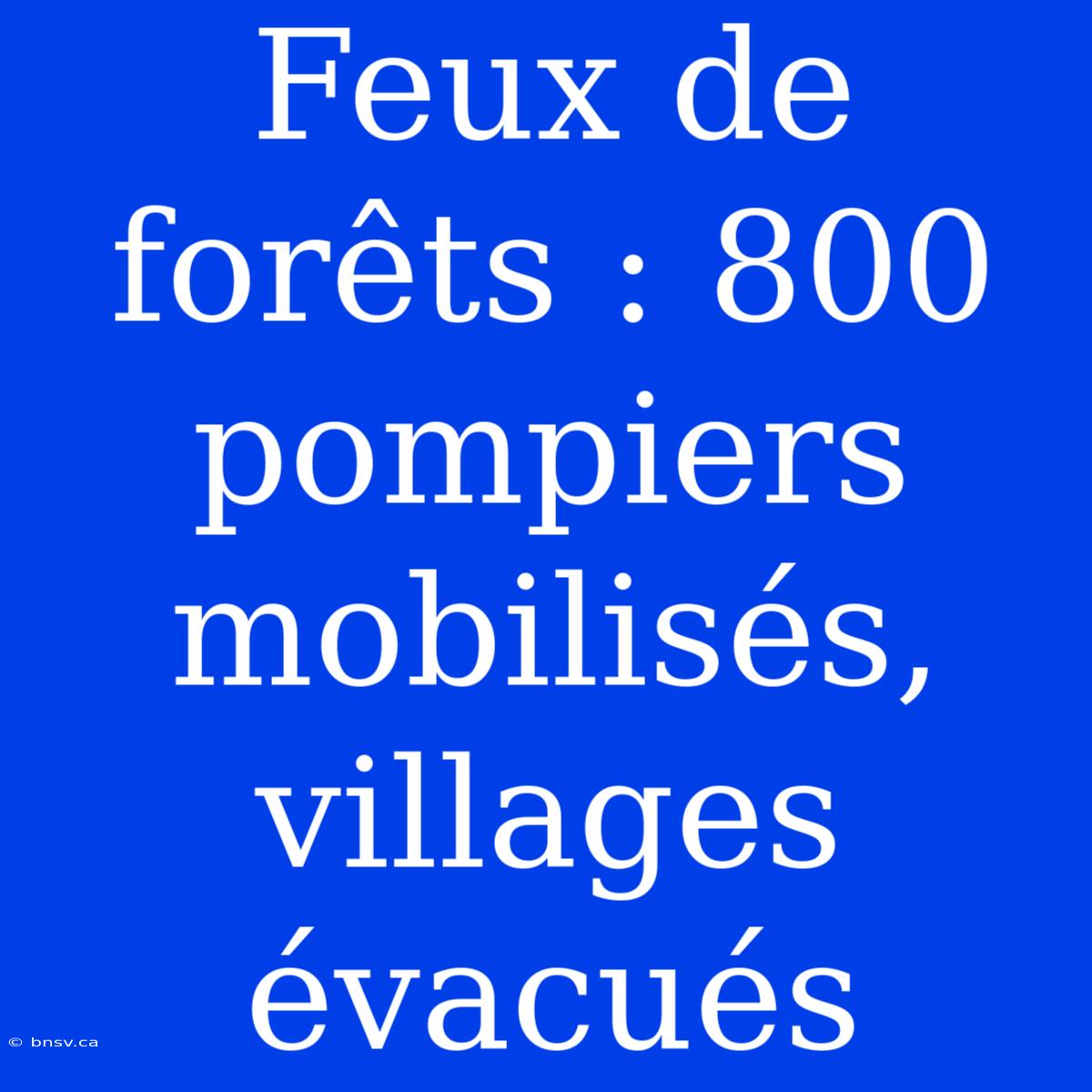 Feux De Forêts : 800 Pompiers Mobilisés, Villages Évacués