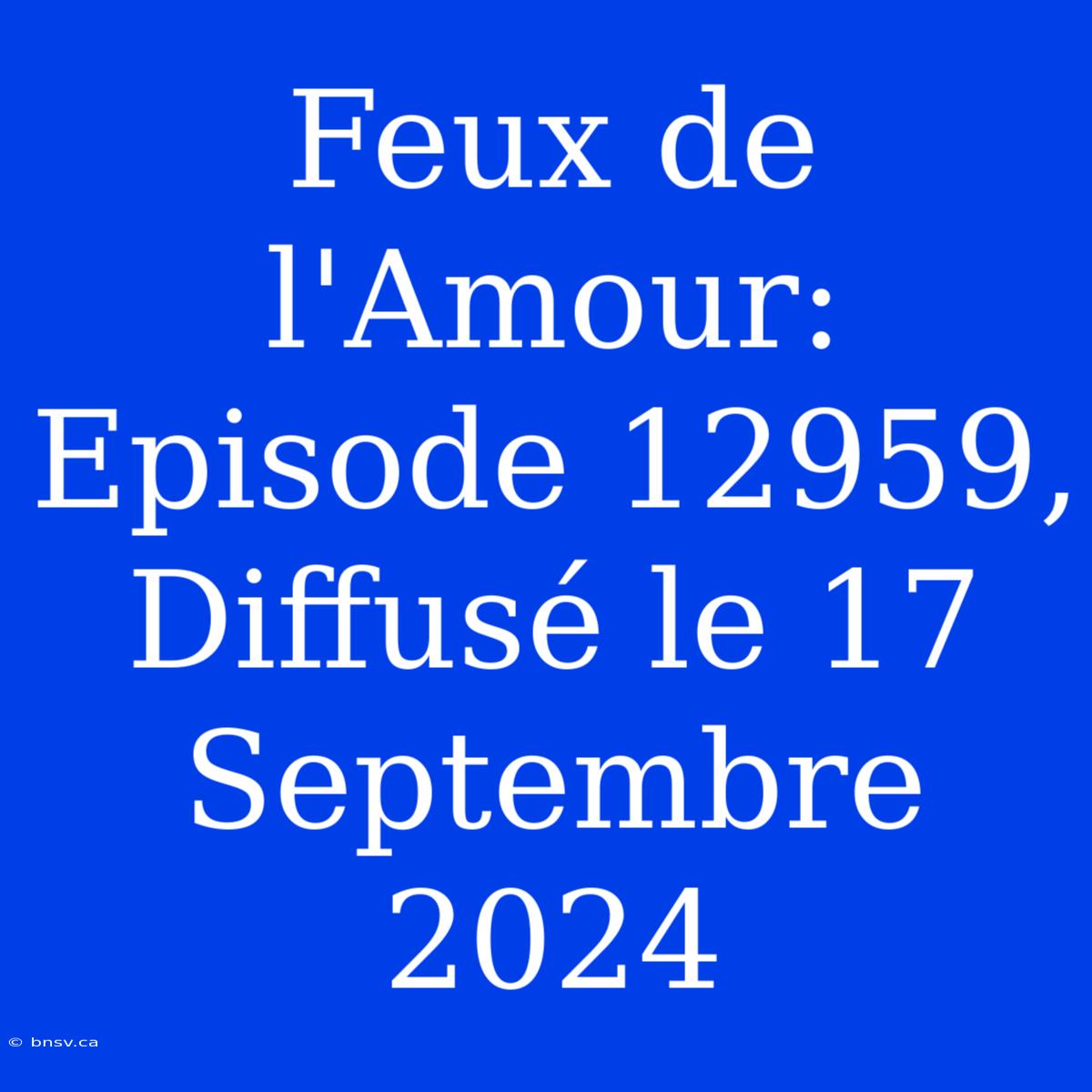 Feux De L'Amour: Episode 12959, Diffusé Le 17 Septembre 2024