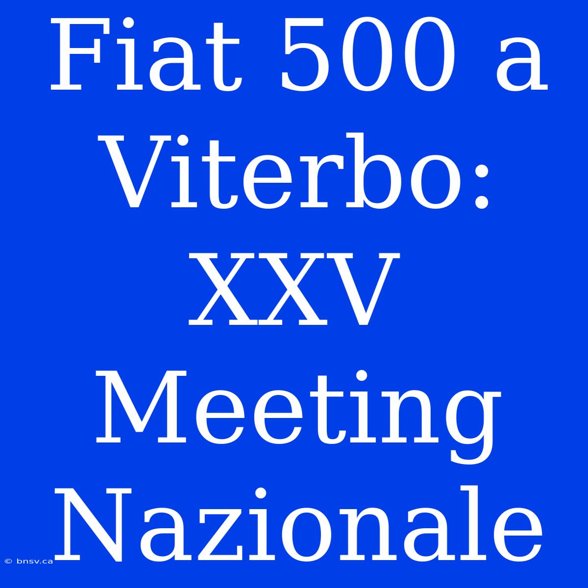 Fiat 500 A Viterbo: XXV Meeting Nazionale