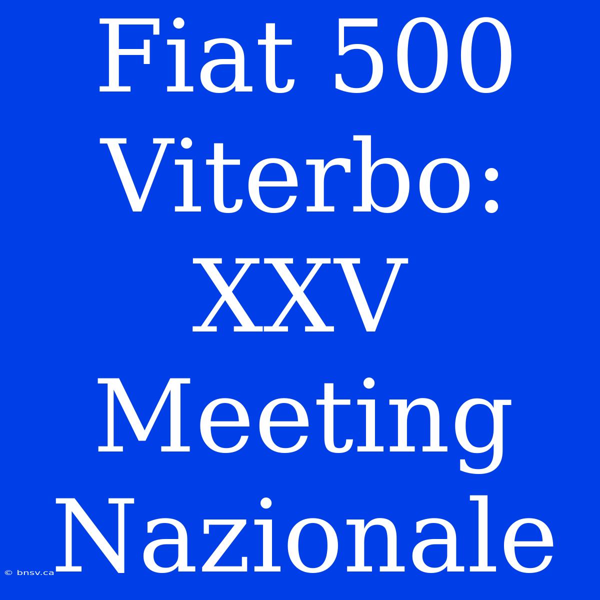 Fiat 500 Viterbo: XXV Meeting Nazionale