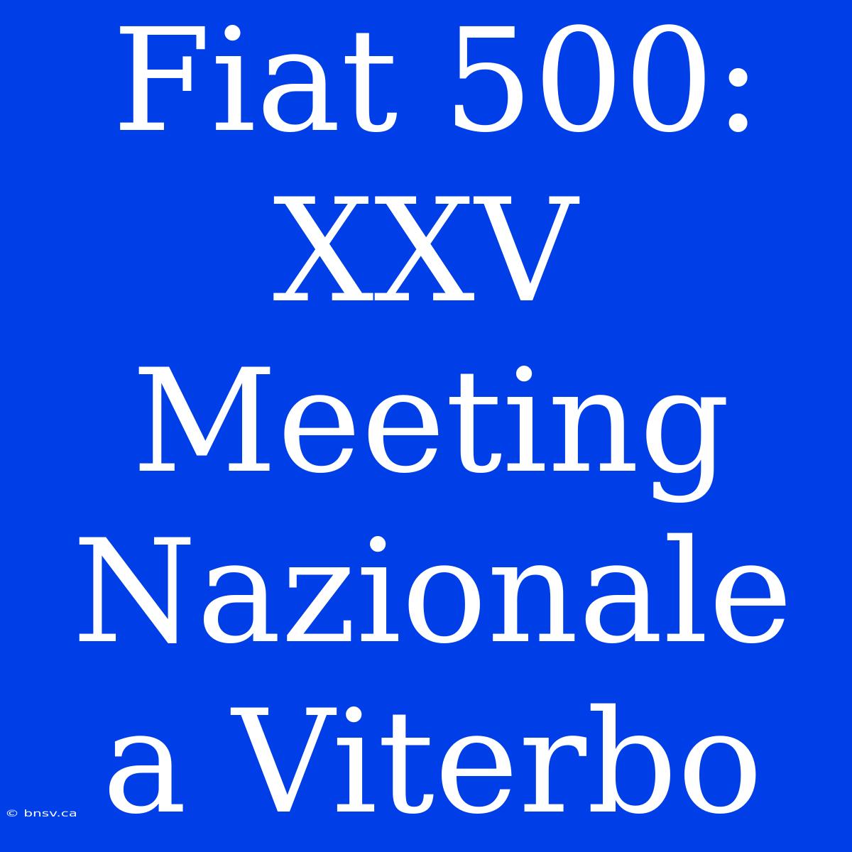 Fiat 500: XXV Meeting Nazionale A Viterbo