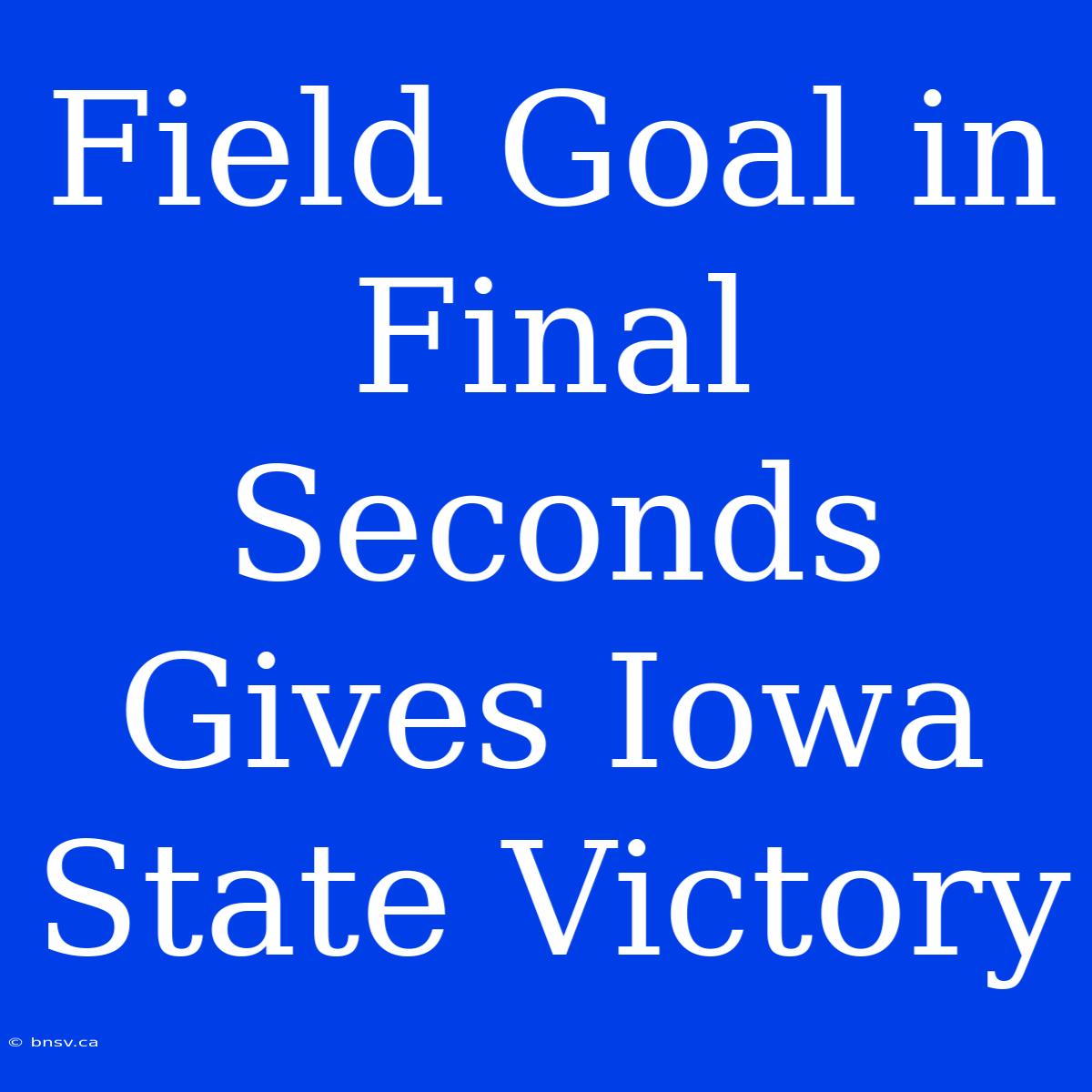 Field Goal In Final Seconds Gives Iowa State Victory