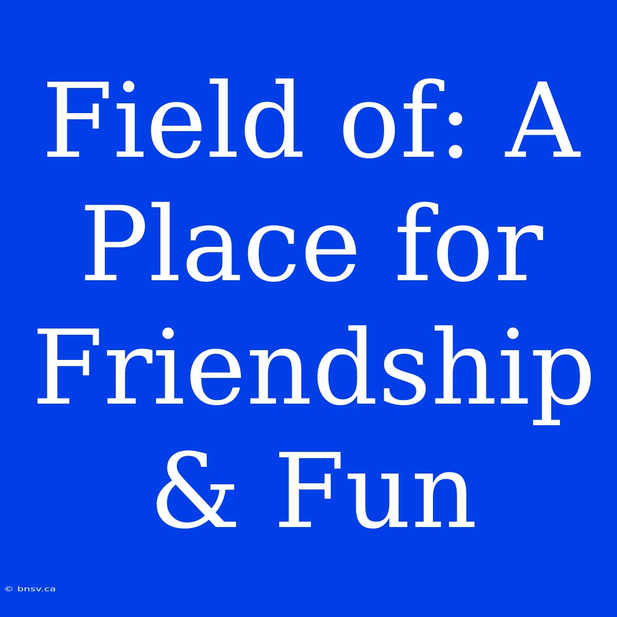 Field Of: A Place For Friendship & Fun