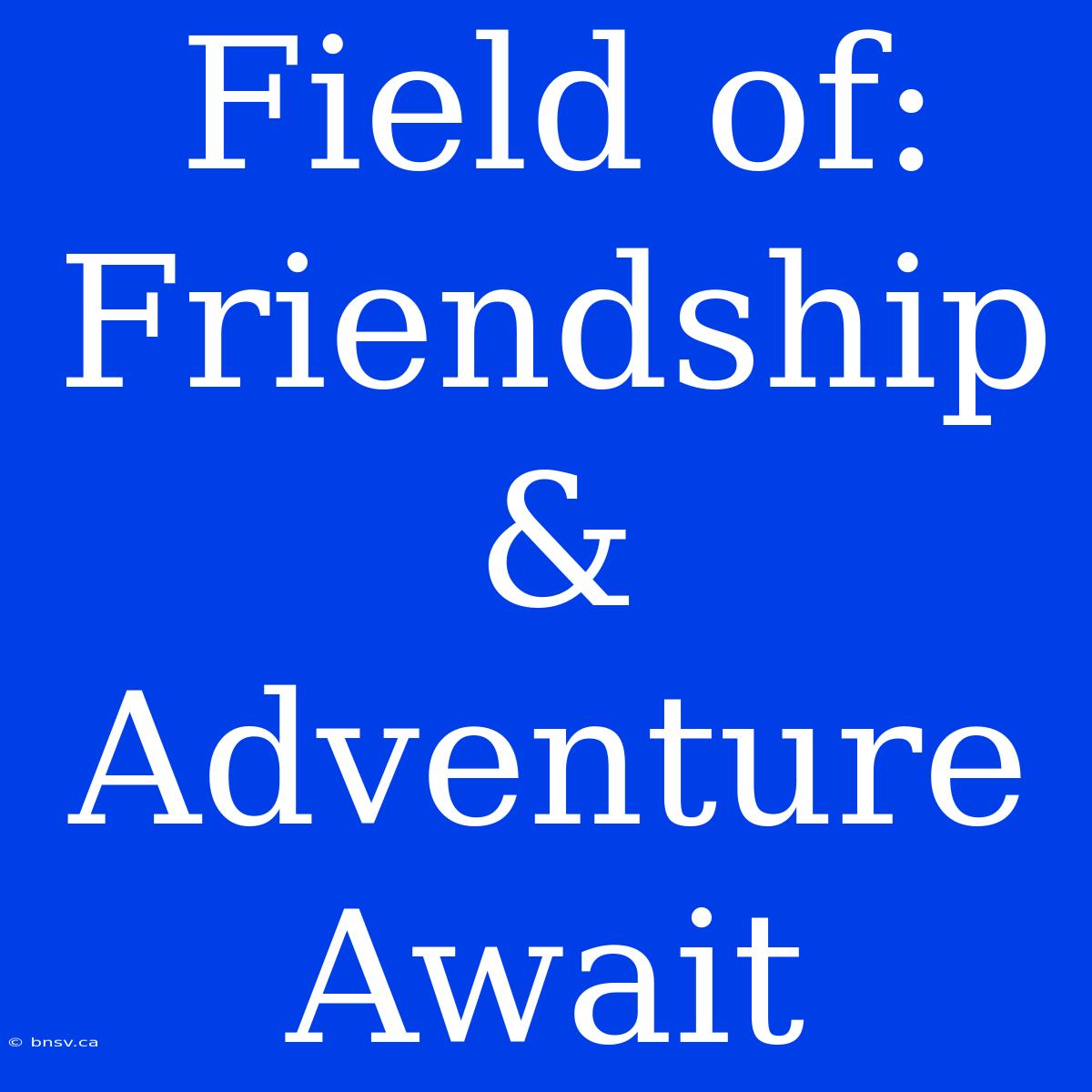 Field Of: Friendship & Adventure Await