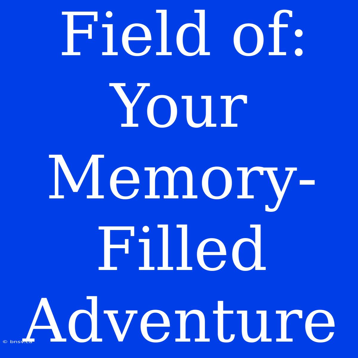 Field Of: Your Memory-Filled Adventure