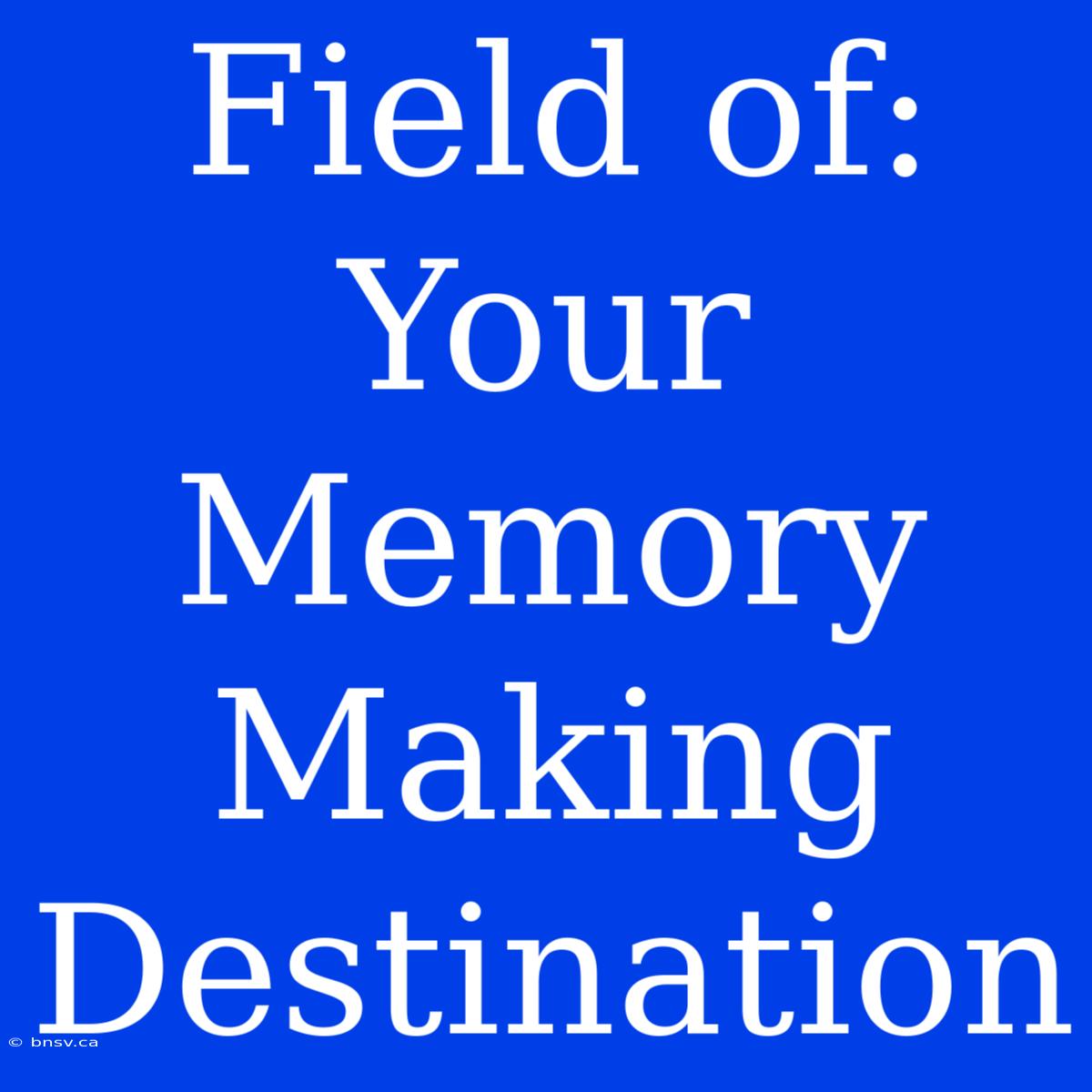 Field Of: Your Memory Making Destination