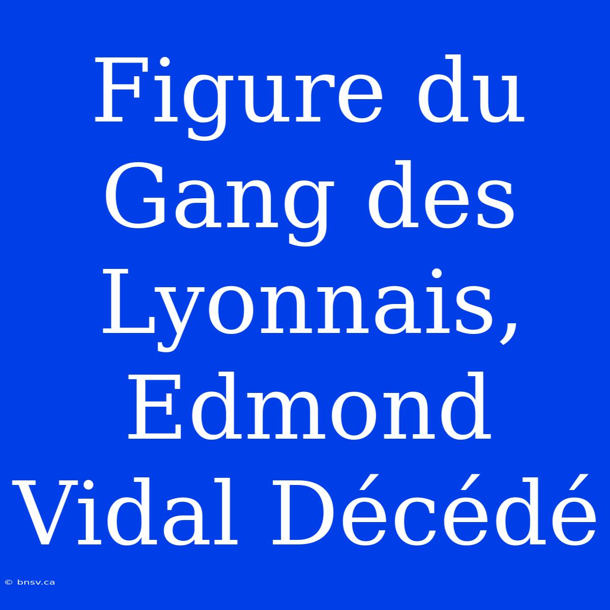 Figure Du Gang Des Lyonnais, Edmond Vidal Décédé