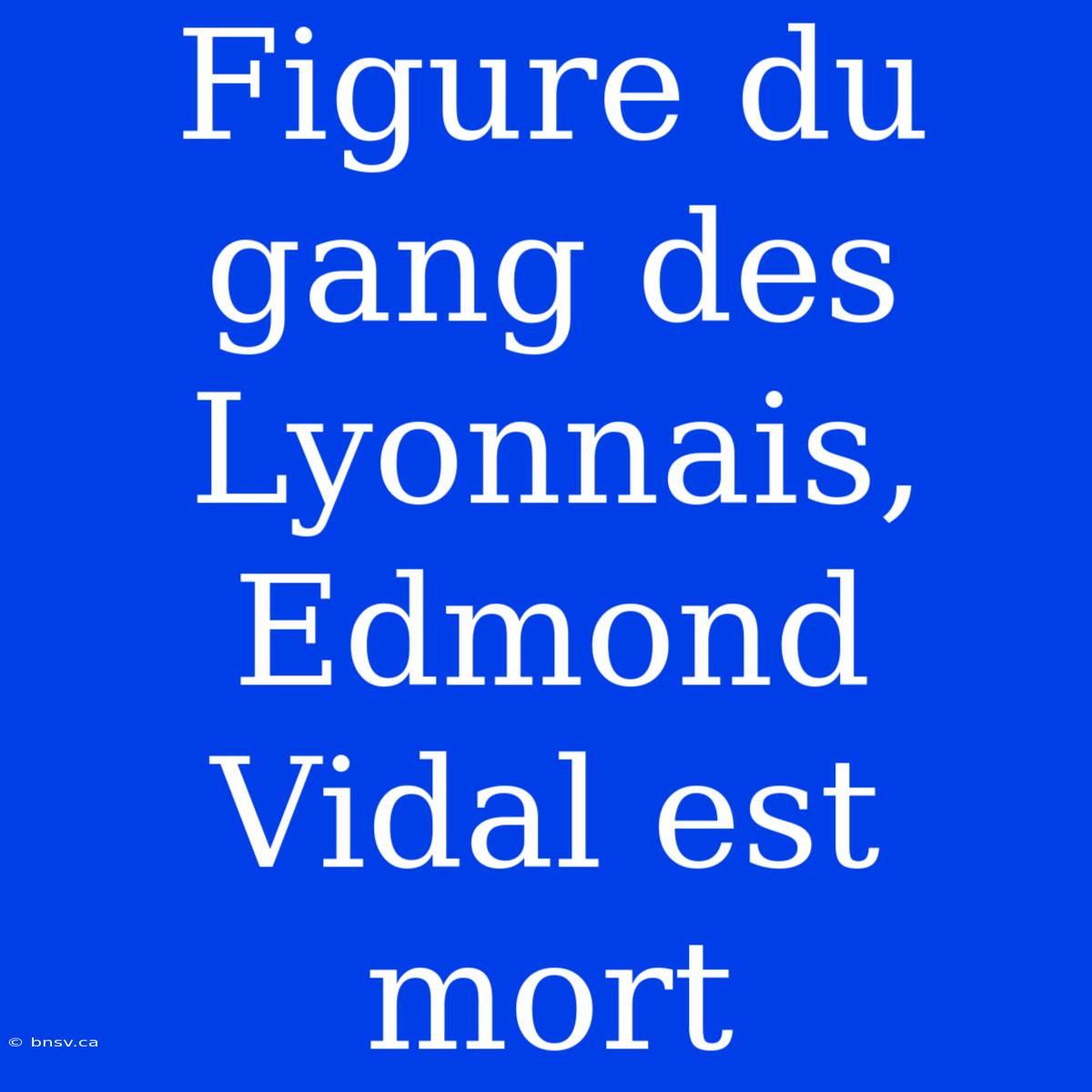 Figure Du Gang Des Lyonnais, Edmond Vidal Est Mort