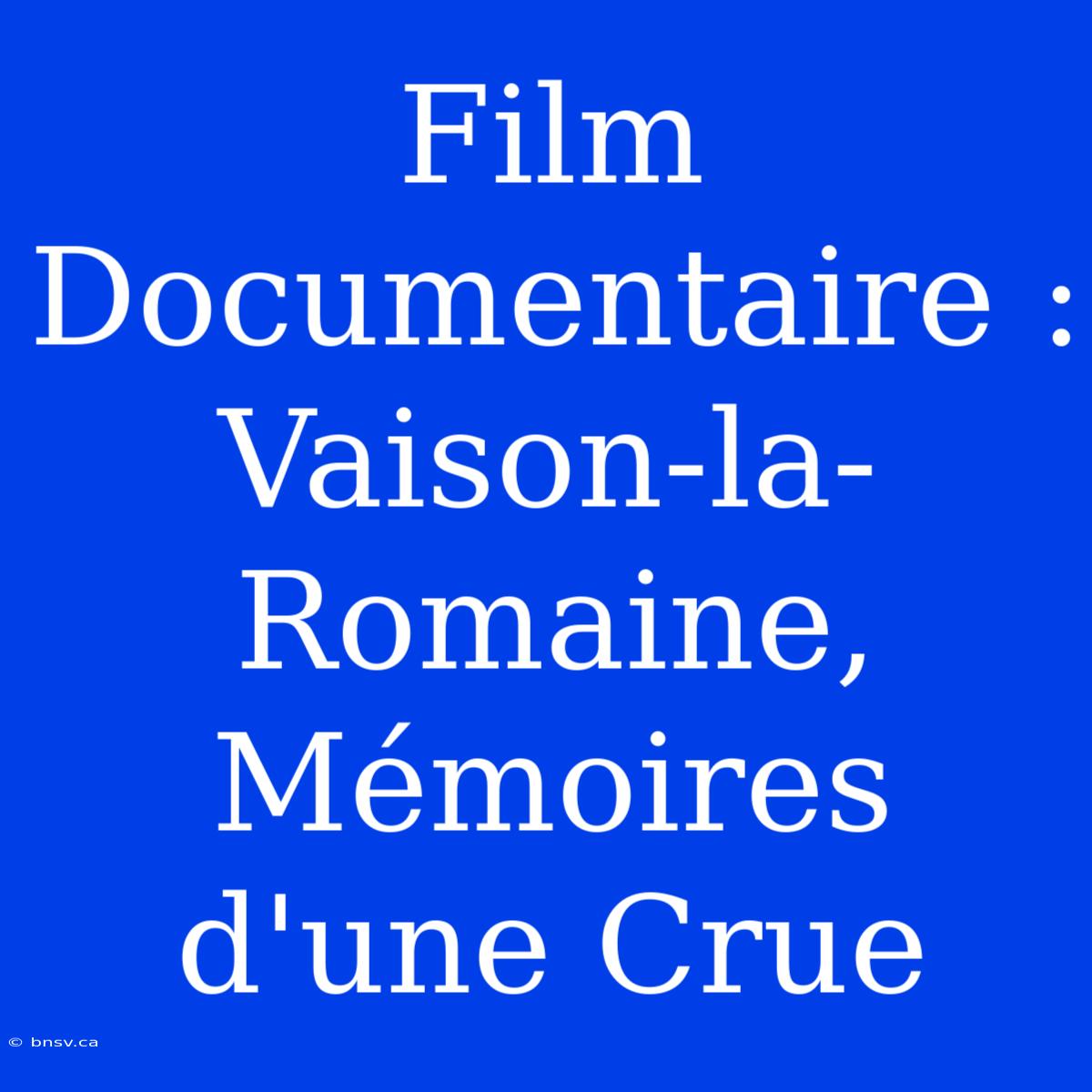 Film Documentaire : Vaison-la-Romaine, Mémoires D'une Crue