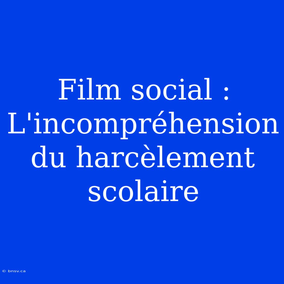 Film Social : L'incompréhension Du Harcèlement Scolaire