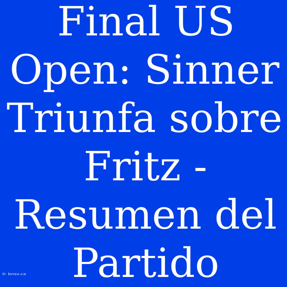 Final US Open: Sinner Triunfa Sobre Fritz - Resumen Del Partido