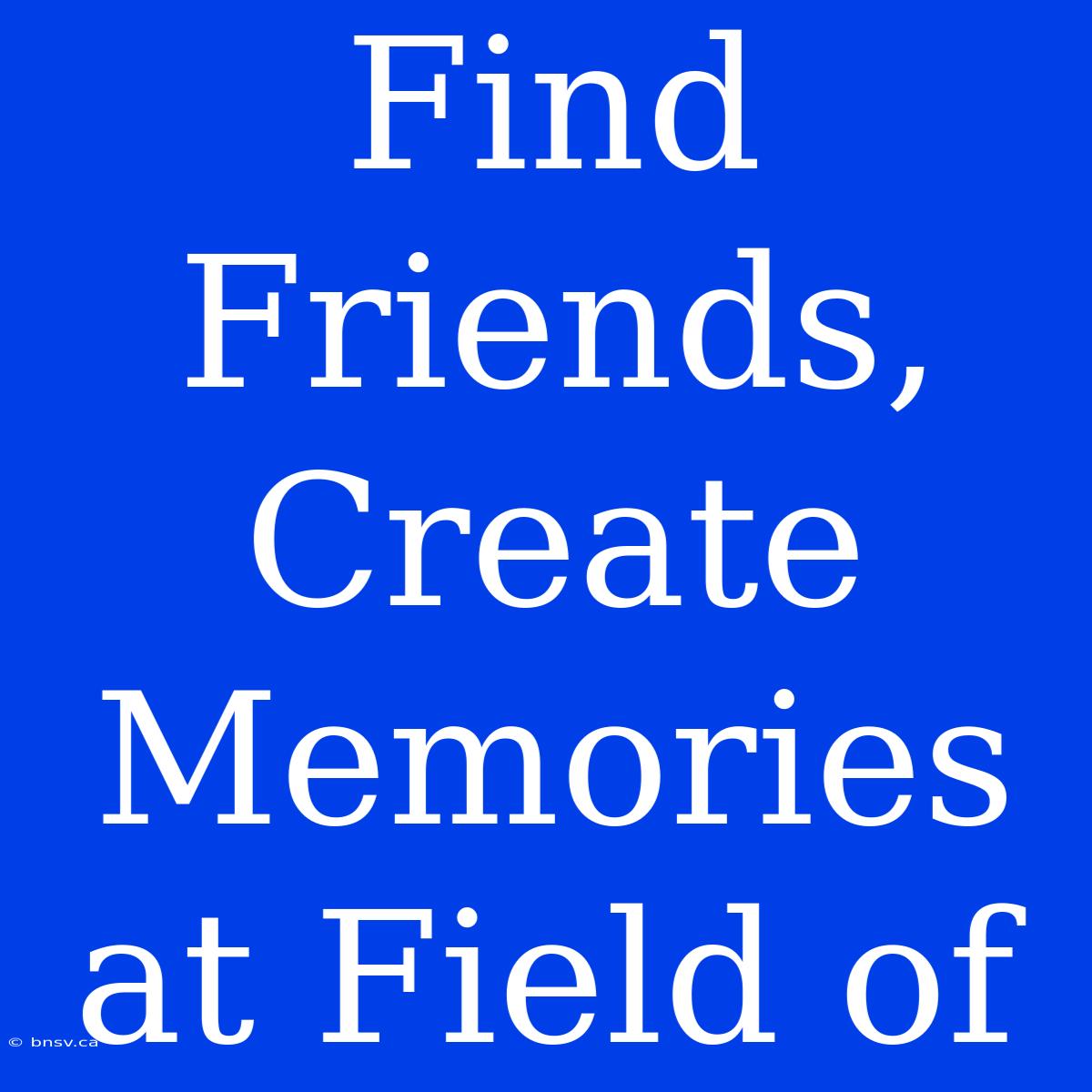 Find Friends, Create Memories At Field Of