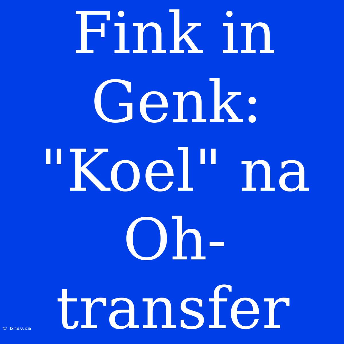 Fink In Genk: 