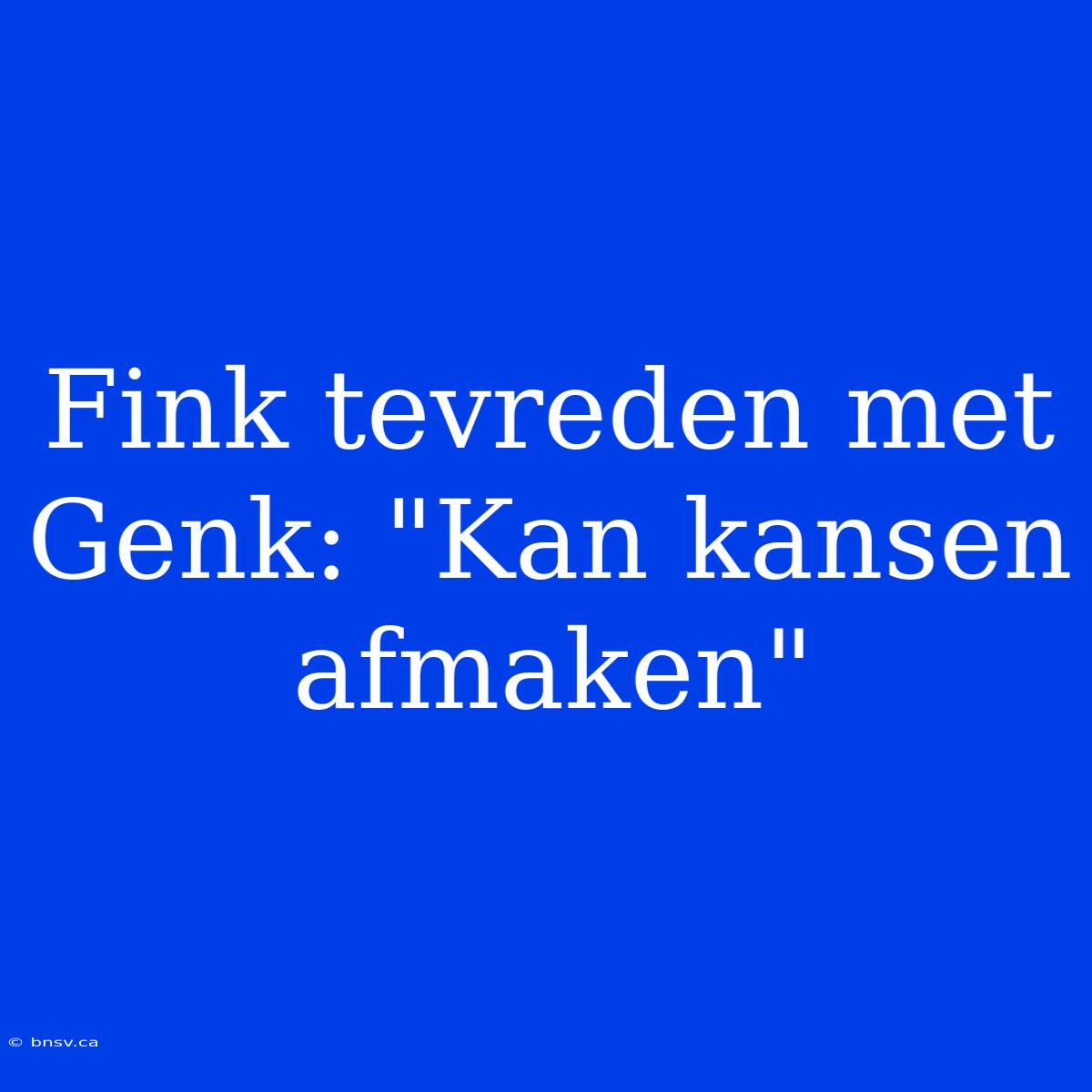 Fink Tevreden Met Genk: 