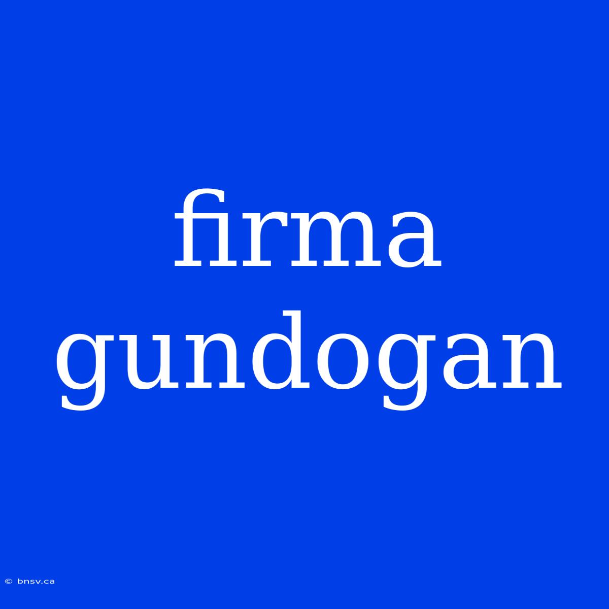 Firma Gundogan