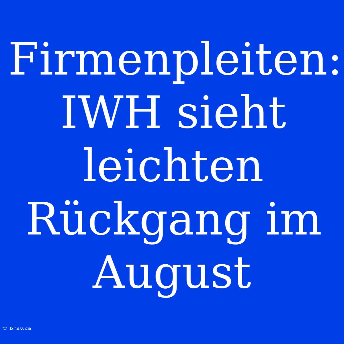 Firmenpleiten: IWH Sieht Leichten Rückgang Im August