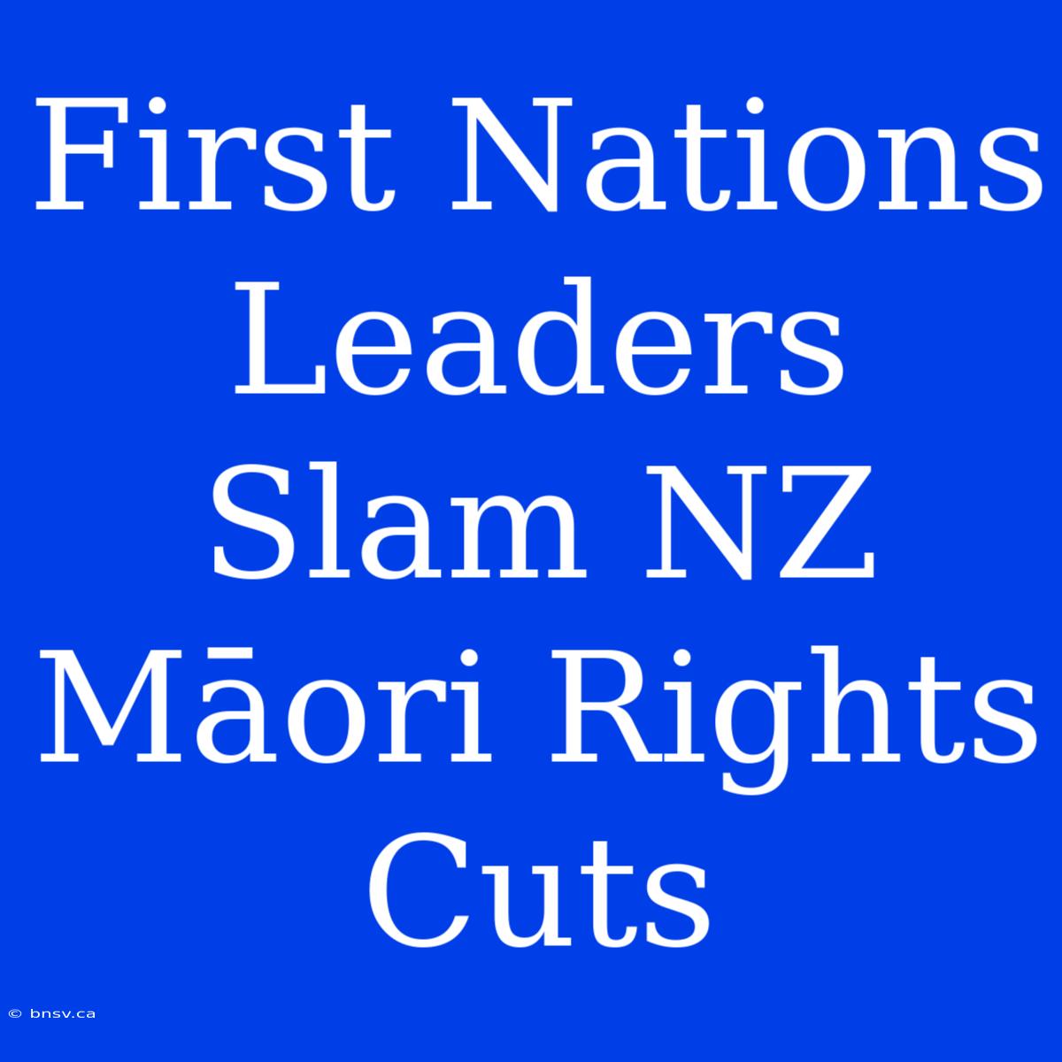 First Nations Leaders Slam NZ Māori Rights Cuts