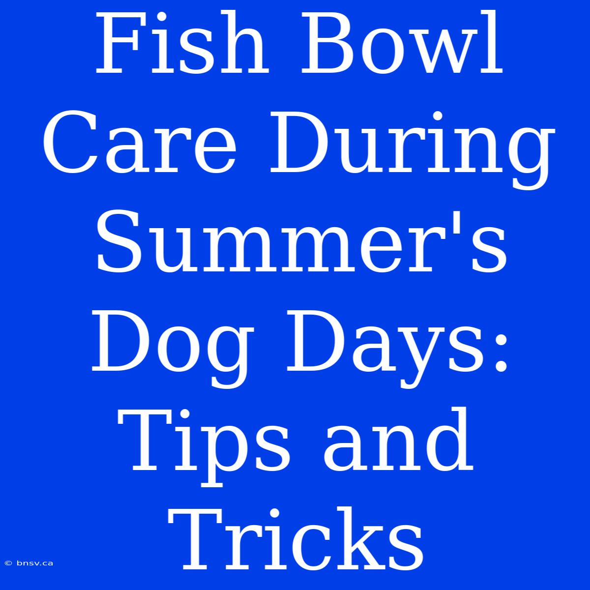 Fish Bowl Care During Summer's Dog Days: Tips And Tricks