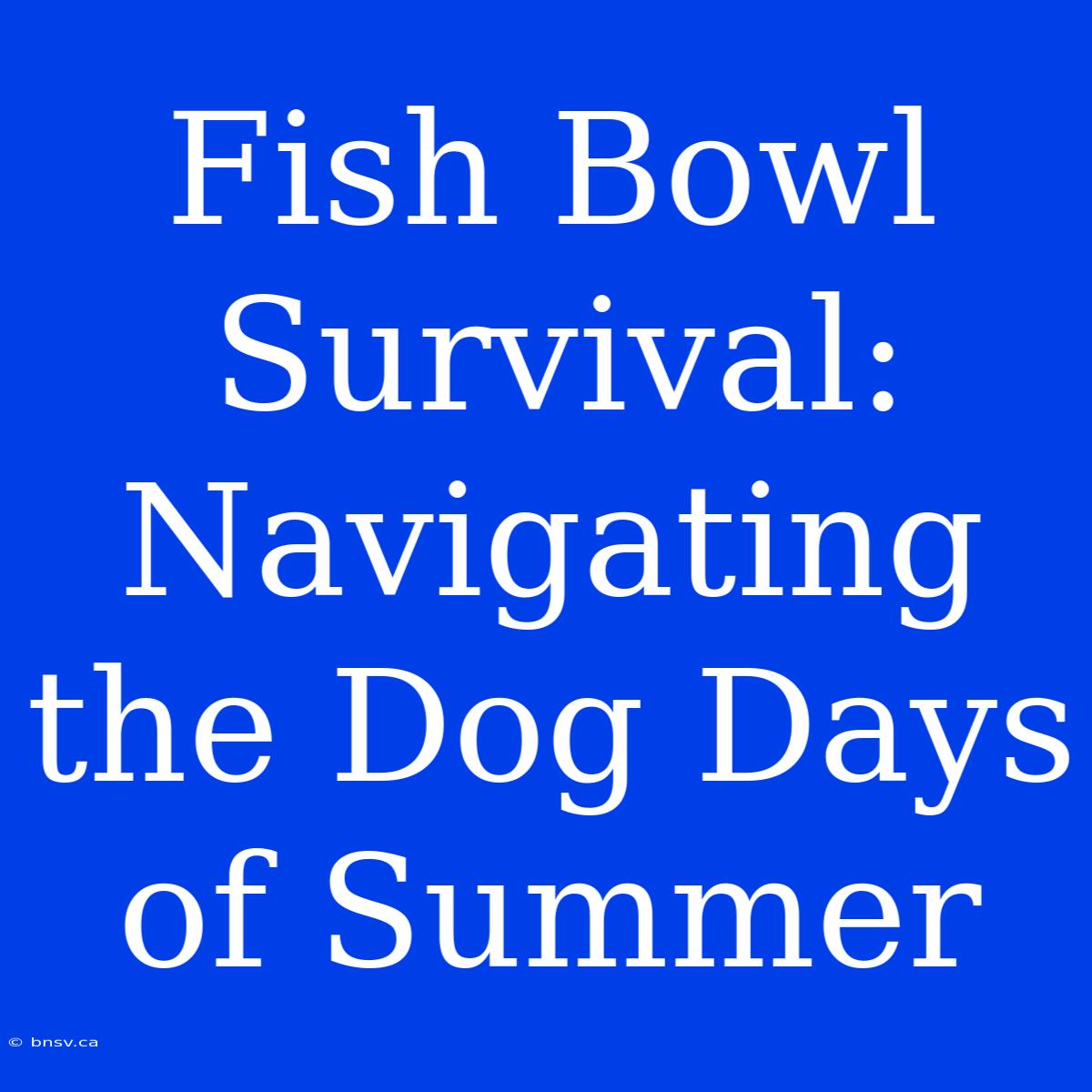 Fish Bowl Survival: Navigating The Dog Days Of Summer