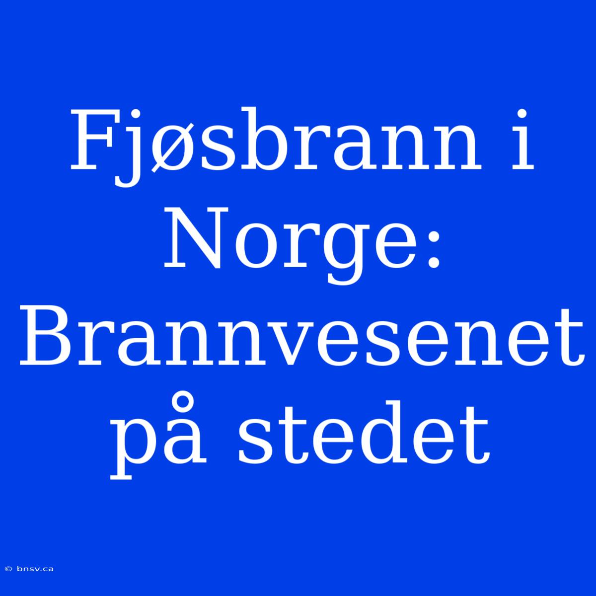 Fjøsbrann I Norge: Brannvesenet På Stedet