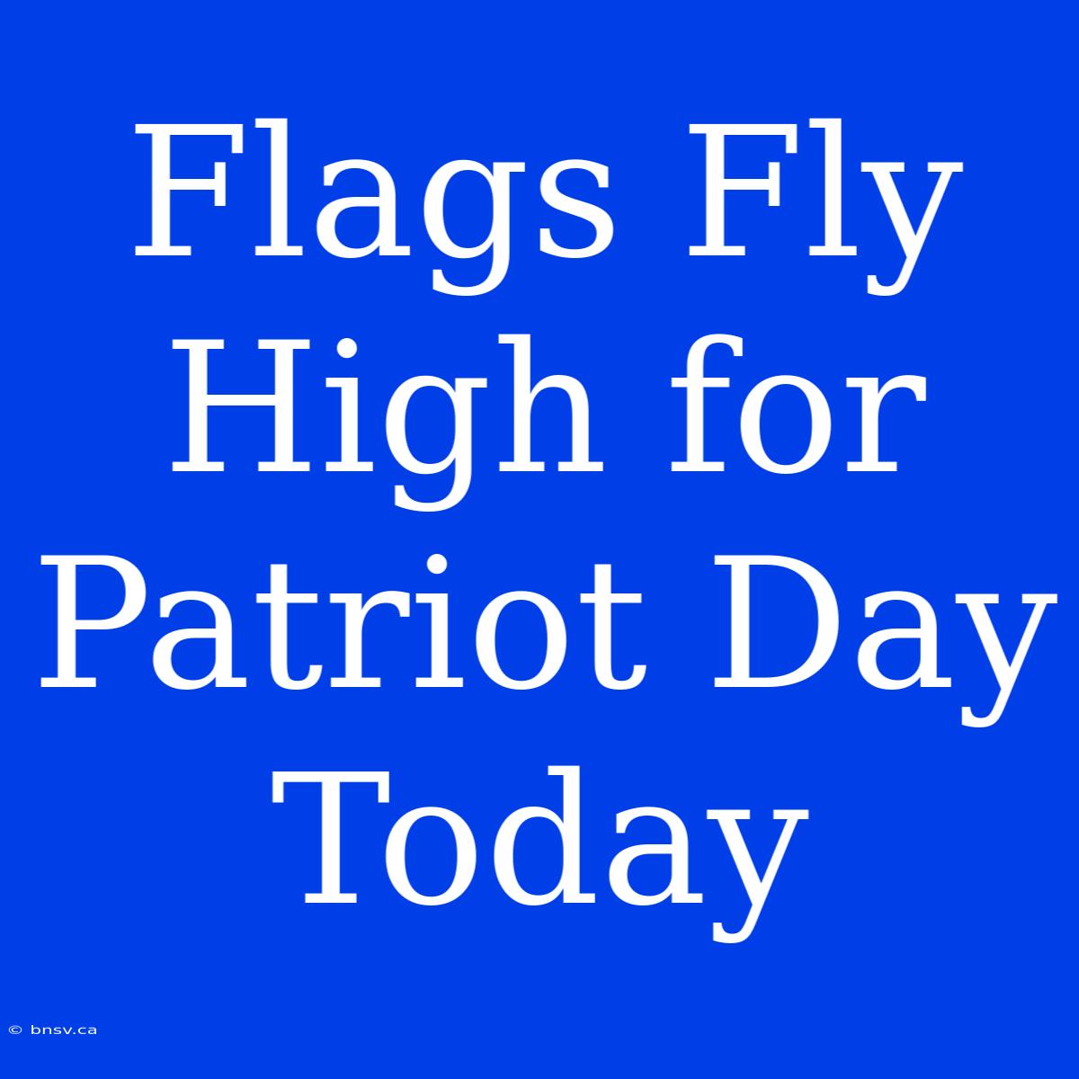 Flags Fly High For Patriot Day Today