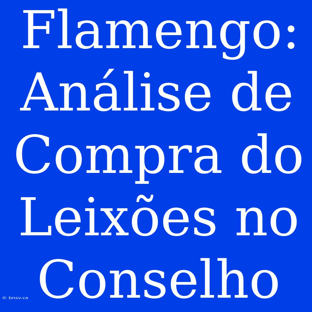 Flamengo: Análise De Compra Do Leixões No Conselho