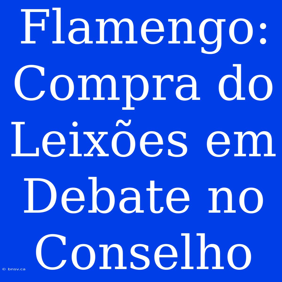 Flamengo: Compra Do Leixões Em Debate No Conselho