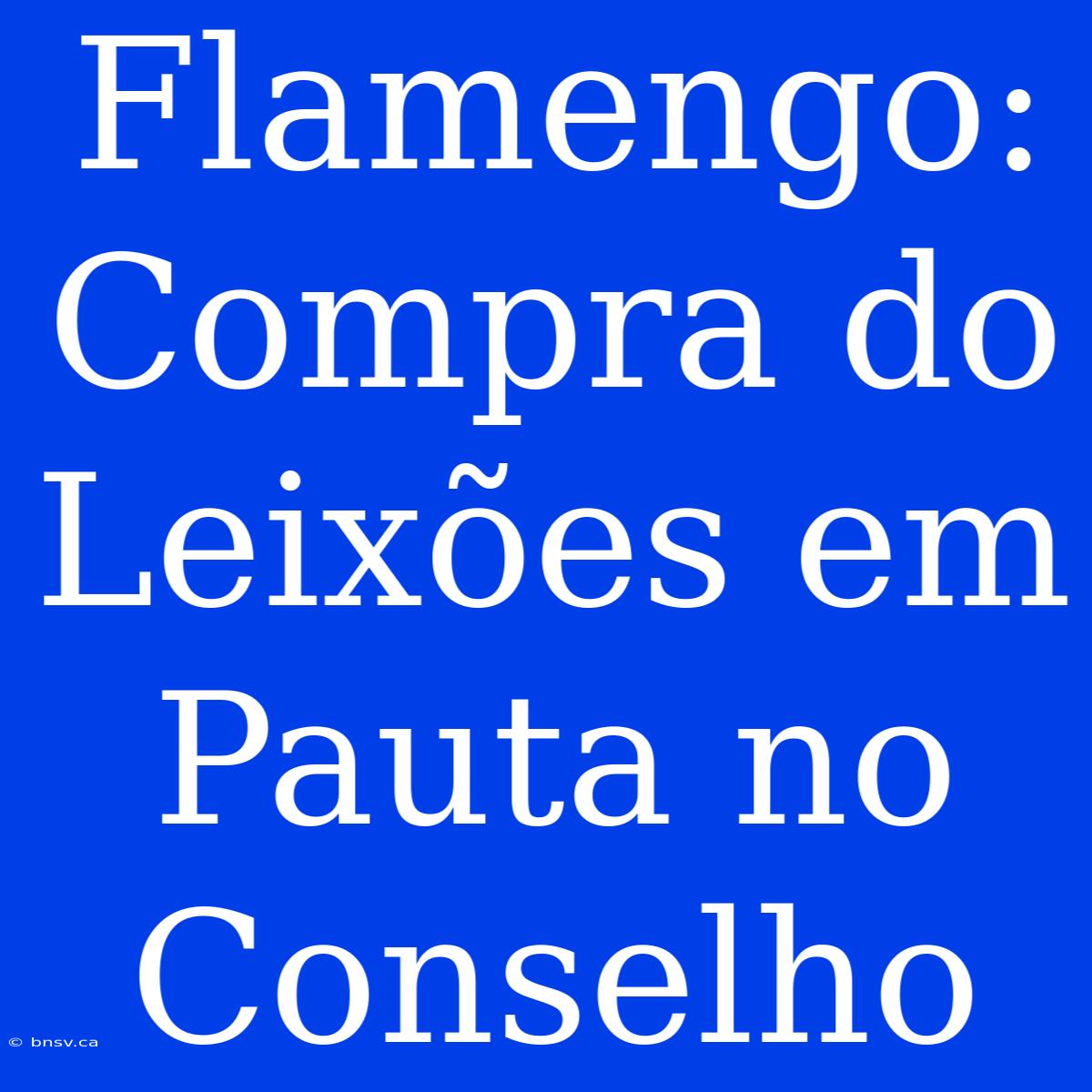 Flamengo: Compra Do Leixões Em Pauta No Conselho