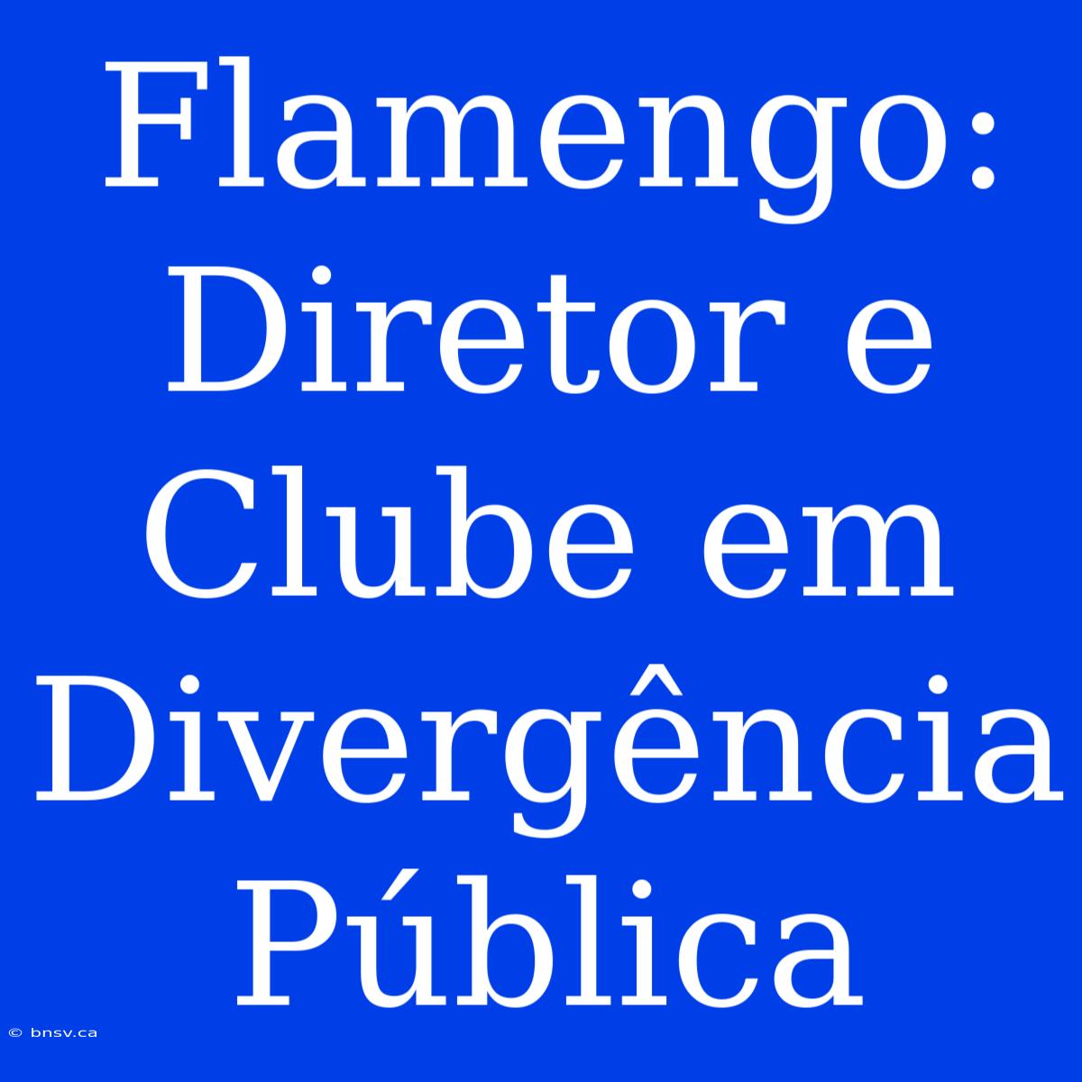 Flamengo: Diretor E Clube Em Divergência Pública