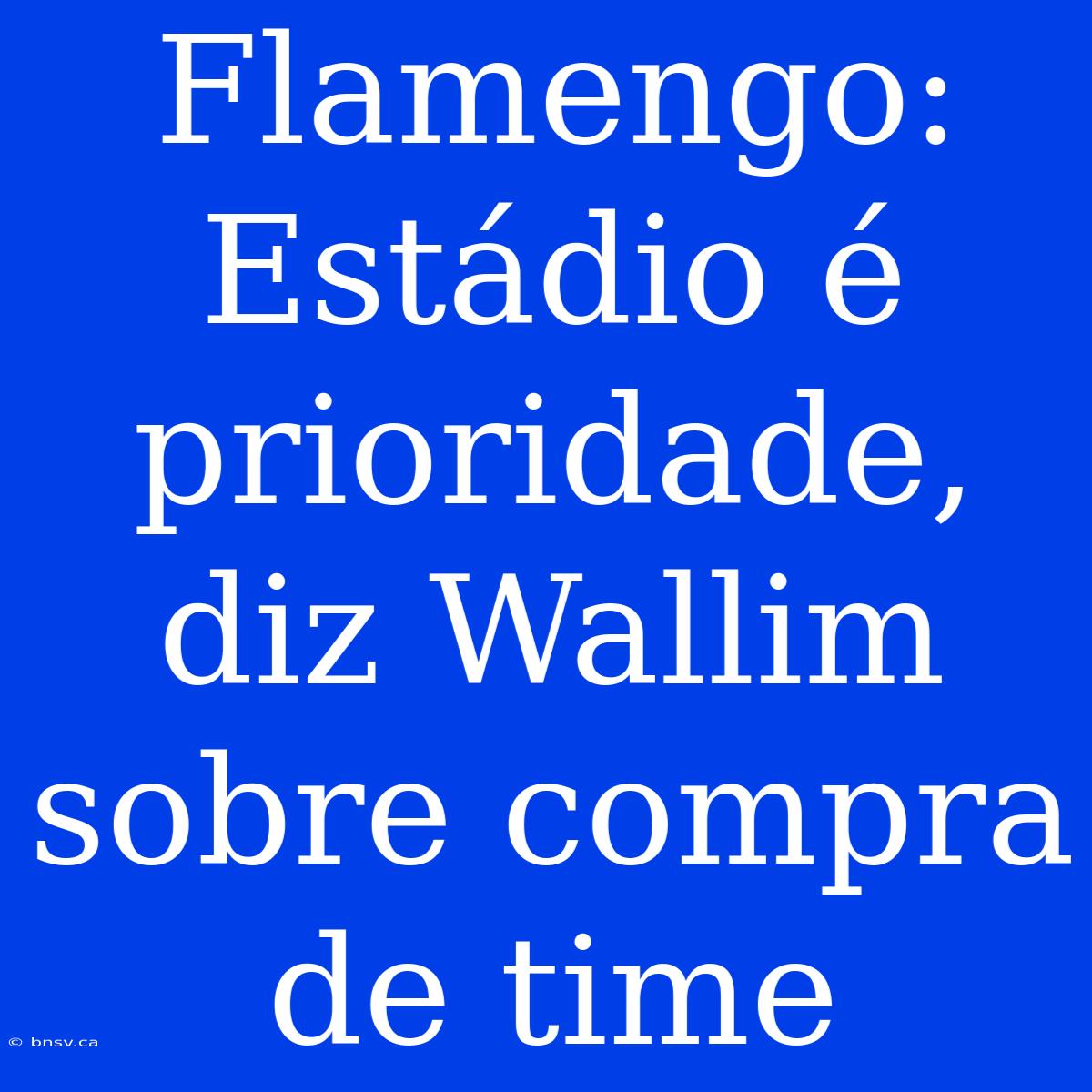 Flamengo: Estádio É Prioridade, Diz Wallim Sobre Compra De Time