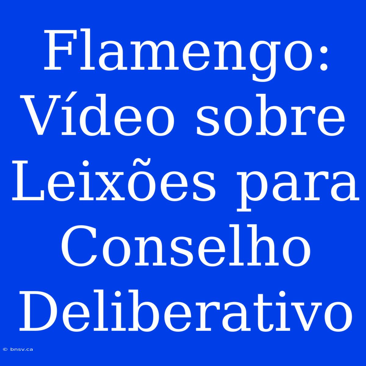 Flamengo: Vídeo Sobre Leixões Para Conselho Deliberativo