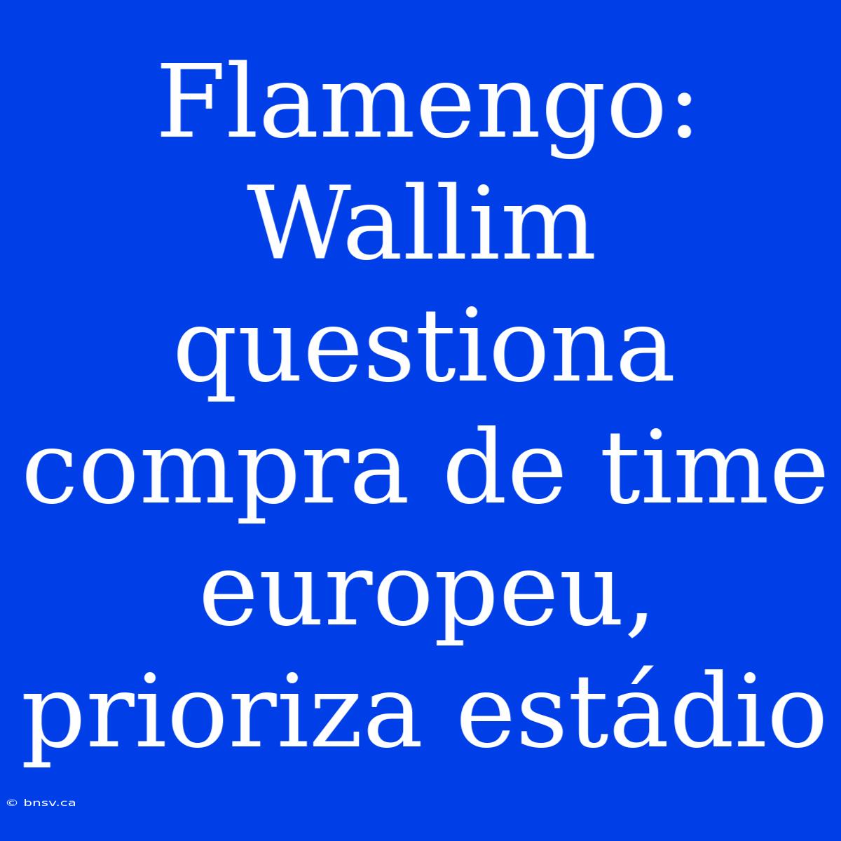 Flamengo: Wallim Questiona Compra De Time Europeu, Prioriza Estádio